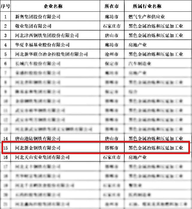 2020河北省民营企业100强榜单（部分）