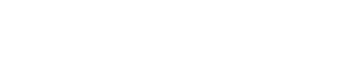 PMT柏明顿管理咨询集团-白.png