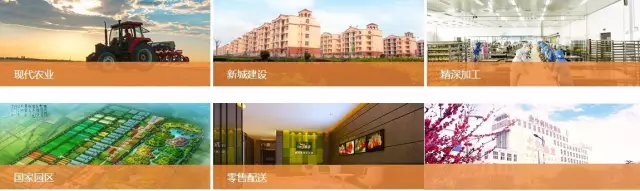 中鹤携手柏明顿落地中国式阿米巴 中鹤携手柏明顿落地中国式阿米巴