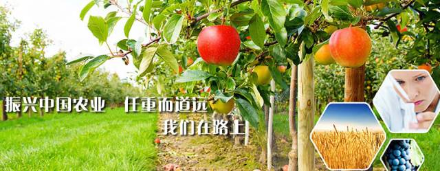 河北家园农业携手柏明顿管理咨询集团正式启动阿米巴经营咨询项目 河北家园农业携手柏明顿管理咨询集团正式启动阿米巴经营咨询项目
