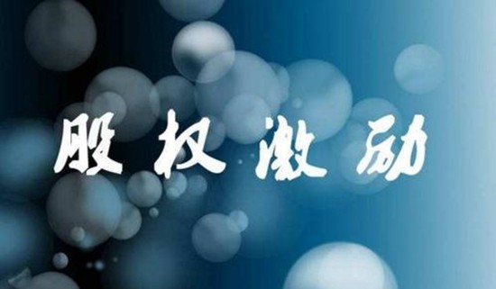 阿米巴股权激励 阿米巴股权激励