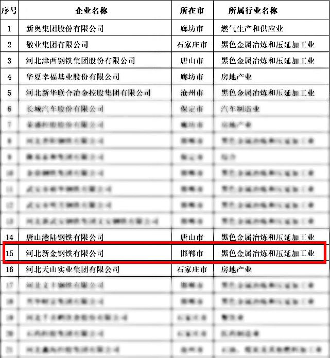 2020河北省民营企业100强榜单(部分) 2020河北省民营企业100强榜单(部分)