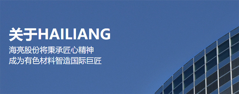 海亮股份 海亮股份