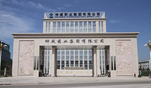 参观神威药业学什么？