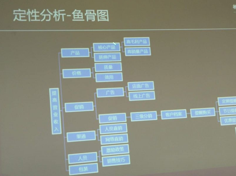 定性分析-鱼骨图