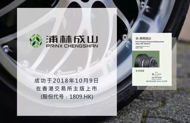 浦林成山(山东)轮胎有限公司