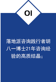 胡八一21年咨询经验结晶